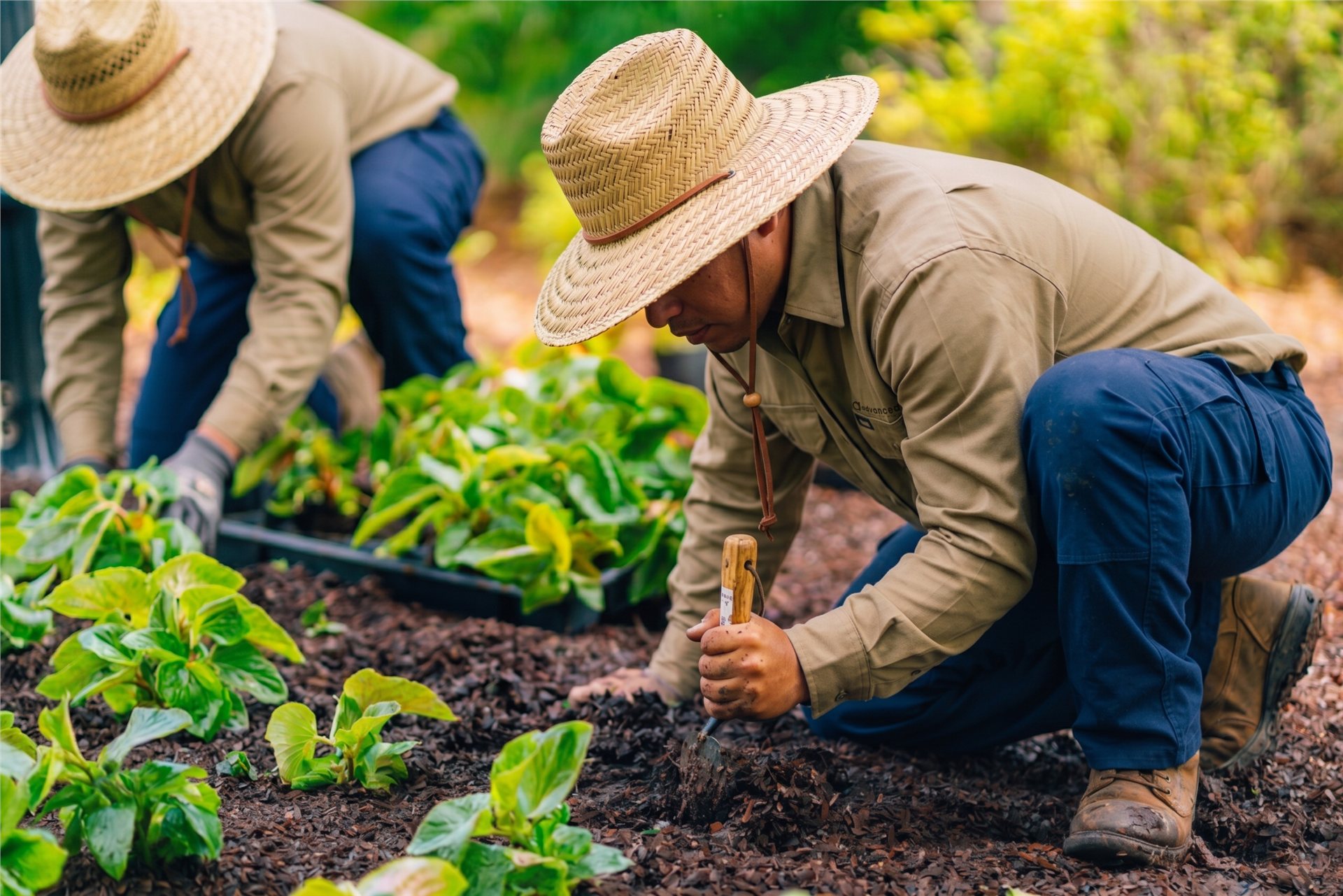 Advanced Landscaping team on site across South East Queensland