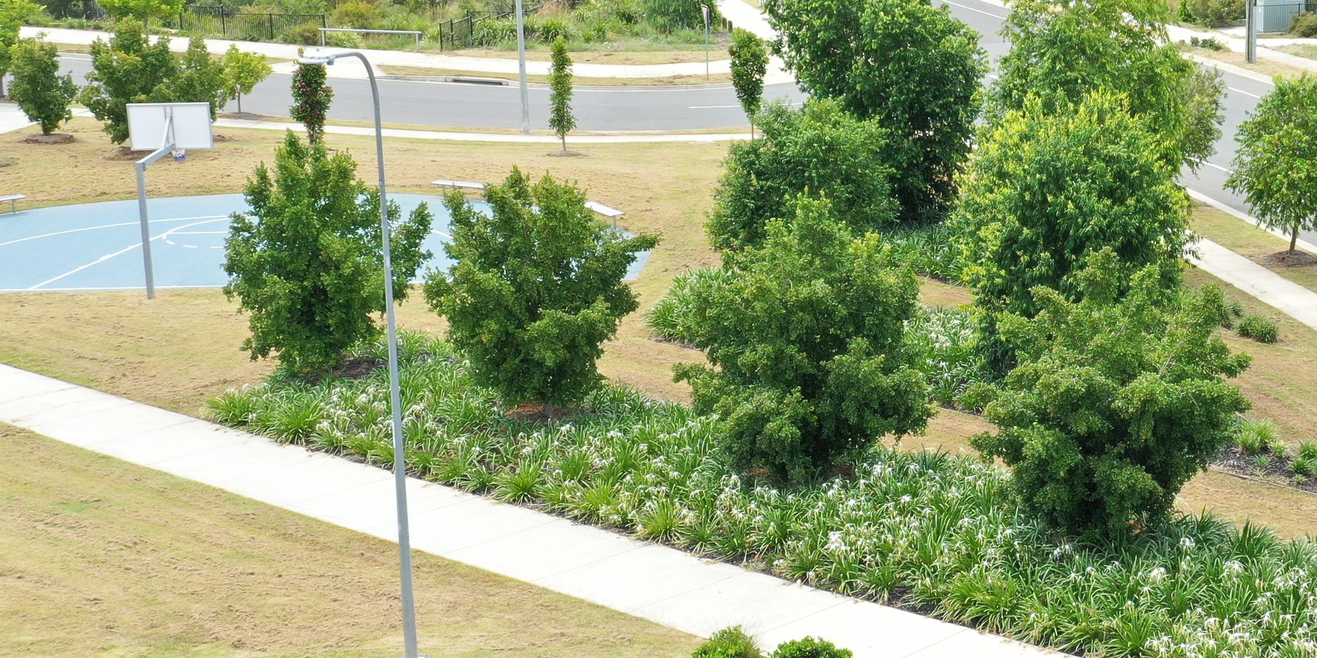 Established street trees, garden beds and open space maintained across an estate