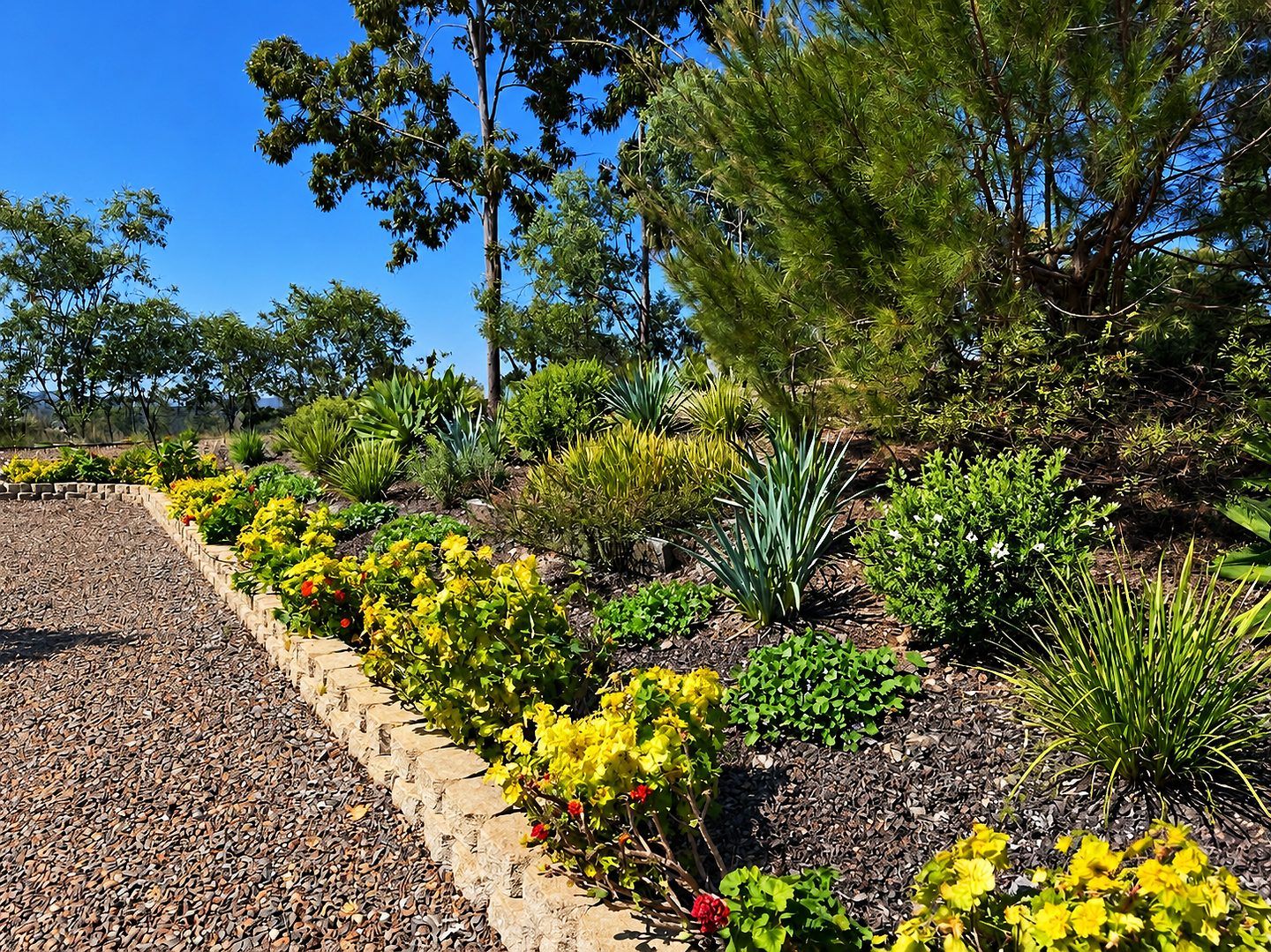 Maintained commercial garden beds with stone edging and seasonal colour
