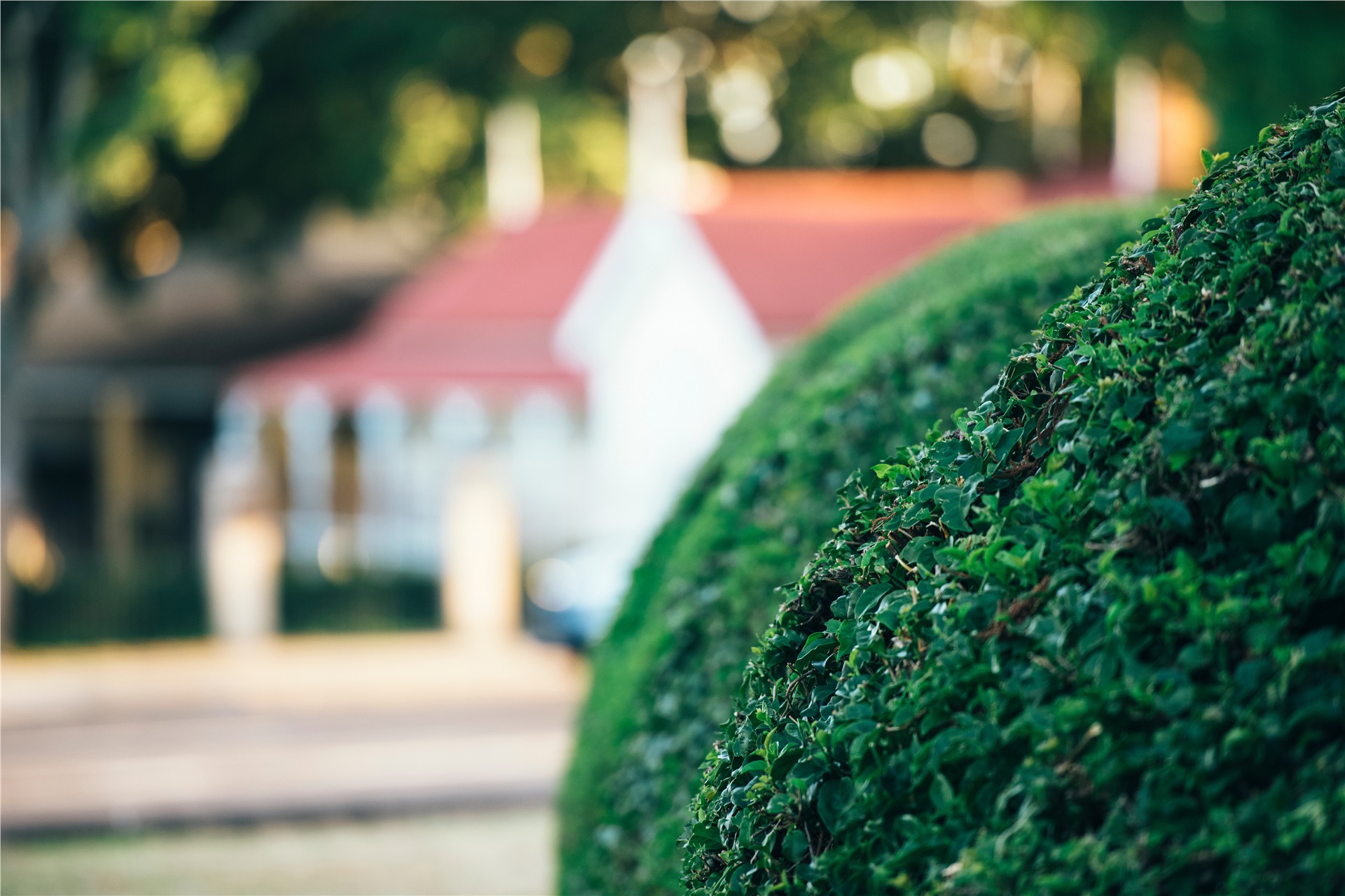 Ipswich - Advanced Landscaping commercial and civil landscaping across Ipswich